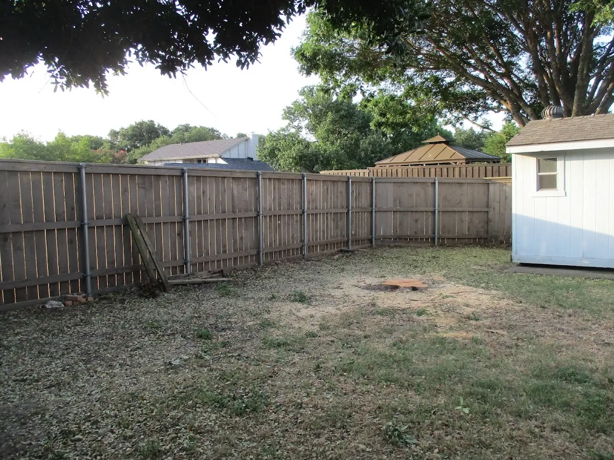 Cleared yard after professional tree removal in Westernport